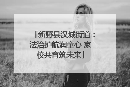 新野县汉城街道：法治护航润童心 家校共育筑未来