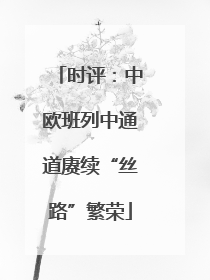 时评：中欧班列中通道赓续“丝路”繁荣