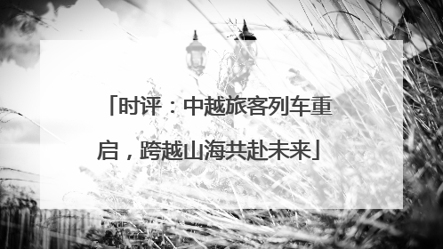 时评：中越旅客列车重启，跨越山海共赴未来