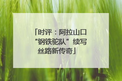 时评：阿拉山口“钢铁驼队”续写丝路新传奇