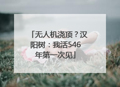 无人机浇顶？汉阳树：我活546年第一次见