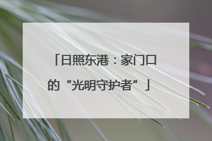 日照东港：家门口的“光明守护者”
