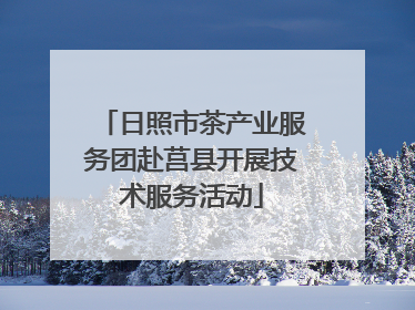 日照市茶产业服务团赴莒县开展技术服务活动