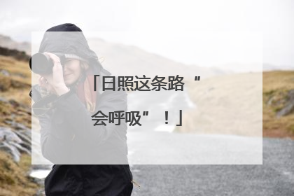 日照这条路“会呼吸”！