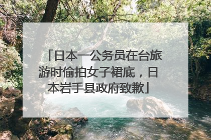 日本一公务员在台旅游时偷拍女子裙底，日本岩手县政府致歉