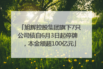 旭辉控股集团旗下7只公司债自6月3日起停牌，本金额超100亿元