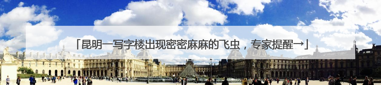 昆明一写字楼出现密密麻麻的飞虫，专家提醒→