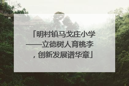 明村镇马戈庄小学——立德树人育桃李，创新发展谱华章