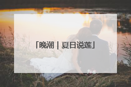 晚潮｜夏日说莲