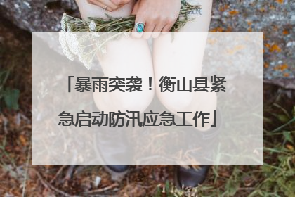 暴雨突袭！衡山县紧急启动防汛应急工作