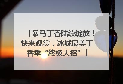 暴马丁香陆续绽放！快来观赏，冰城最美丁香季“终极大招”