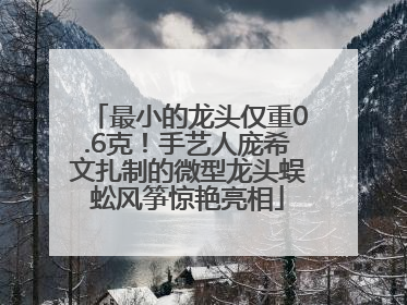 最小的龙头仅重0.6克！手艺人庞希文扎制的微型龙头蜈蚣风筝惊艳亮相