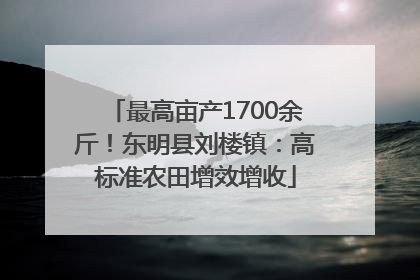 最高亩产1700余斤！东明县刘楼镇：高标准农田增效增收
