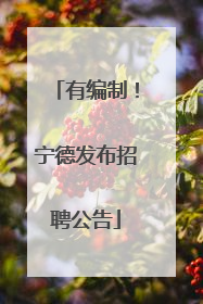 有编制！宁德发布招聘公告
