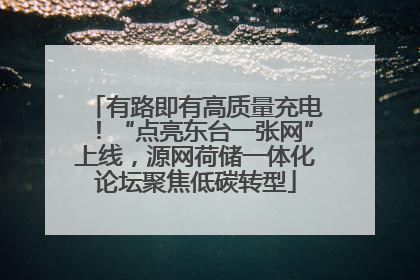 有路即有高质量充电！“点亮东台一张网”上线，源网荷储一体化论坛聚焦低碳转型