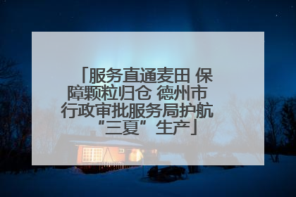 服务直通麦田 保障颗粒归仓 德州市行政审批服务局护航“三夏”生产