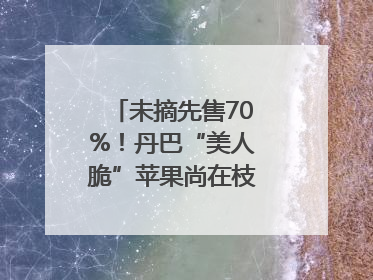 未摘先售70%！丹巴“美人脆”苹果尚在枝头就被预订｜长征路上看四川