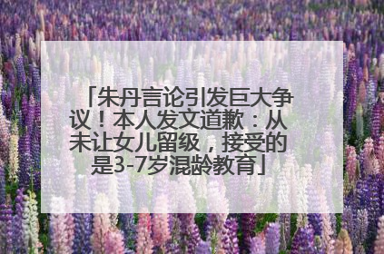 朱丹言论引发巨大争议！本人发文道歉：从未让女儿留级，接受的是3-7岁混龄教育
