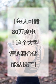 每天可储80万度电！这个大型锂钠混合储能站投产