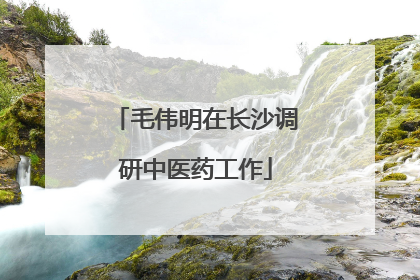 毛伟明在长沙调研中医药工作