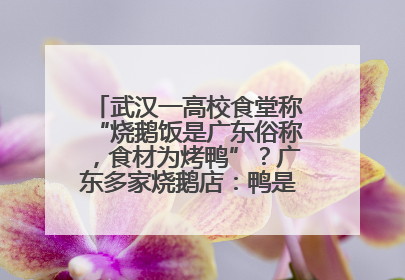 武汉一高校食堂称“烧鹅饭是广东俗称，食材为烤鸭”？广东多家烧鹅店：鸭是鸭鹅是鹅