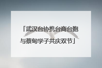 武汉台协携台商台胞与蔡甸学子共庆双节