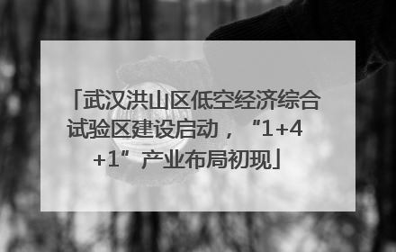 武汉洪山区低空经济综合试验区建设启动，“1+4+1”产业布局初现