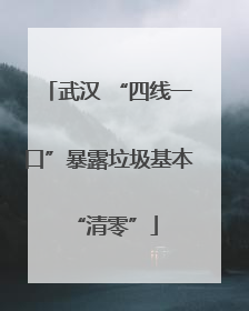 武汉 “四线一口”暴露垃圾基本 “清零”