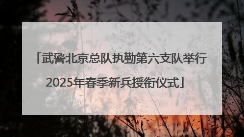 武警北京总队执勤第六支队举行2025年春季新兵授衔仪式