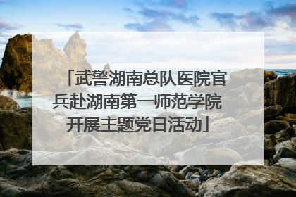 武警湖南总队医院官兵赴湖南第一师范学院开展主题党日活动