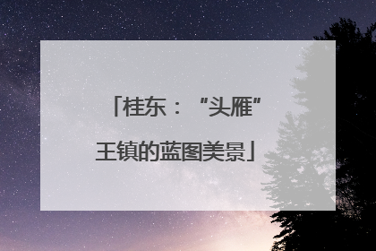 桂东：“头雁”王镇的蓝图美景
