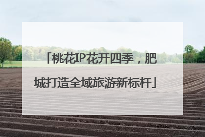 桃花IP花开四季，肥城打造全域旅游新标杆