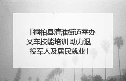 桐柏县清淮街道举办叉车技能培训 助力退役军人及居民就业
