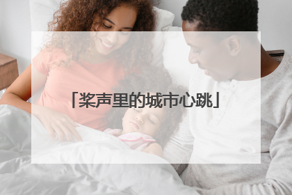 桨声里的城市心跳