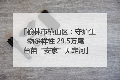 榆林市横山区：守护生物多样性 29.5万尾鱼苗“安家”无定河