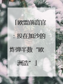 欧盟前高官：投在加沙的炸弹半数“欧洲造”