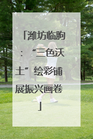 潍坊临朐：“三色沃土”绘彩铺展振兴画卷