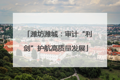 潍坊潍城：审计“利剑”护航高质量发展