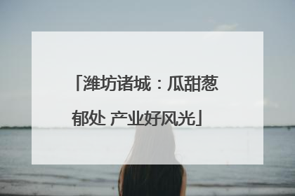 潍坊诸城：瓜甜葱郁处 产业好风光