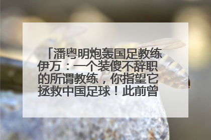 潘粤明炮轰国足教练伊万：一个装傻不辞职的所谓教练，你指望它拯救中国足球！此前曾多次发文评价国足