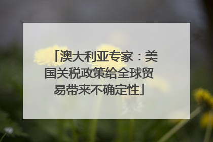 澳大利亚专家：美国关税政策给全球贸易带来不确定性