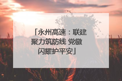永州高速：联建聚力筑防线 党徽闪耀护平安