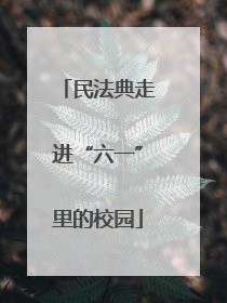 民法典走进“六一”里的校园