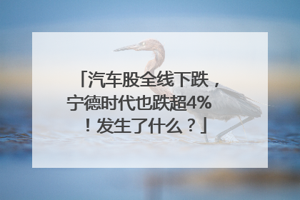 汽车股全线下跌，宁德时代也跌超4%！发生了什么？