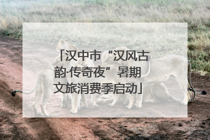 汉中市“汉风古韵·传奇夜”暑期文旅消费季启动