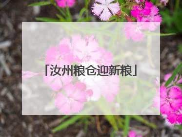 汝州粮仓迎新粮