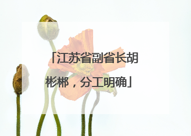 江苏省副省长胡彬郴，分工明确