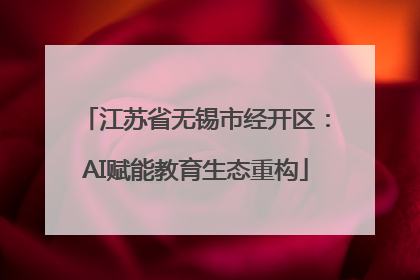 江苏省无锡市经开区：AI赋能教育生态重构