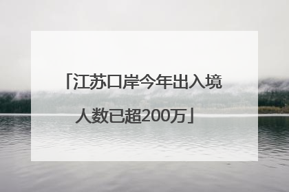 江苏口岸今年出入境人数已超200万