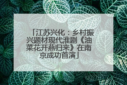 江苏兴化：乡村振兴题材现代淮剧《油菜花开燕归来》在南京成功首演